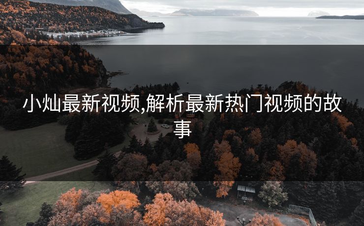 小灿最新视频,解析最新热门视频的故事