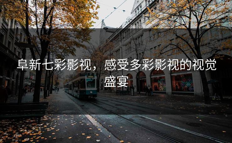 阜新七彩影视，感受多彩影视的视觉盛宴