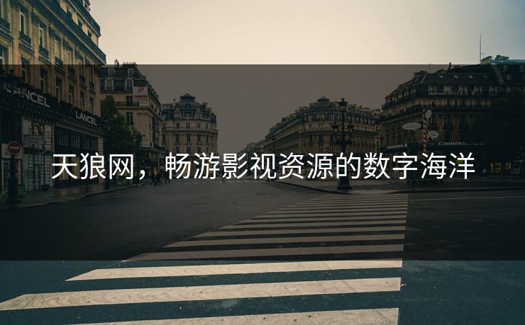 天狼网，畅游影视资源的数字海洋