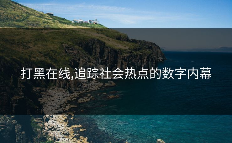 打黑在线,追踪社会热点的数字内幕