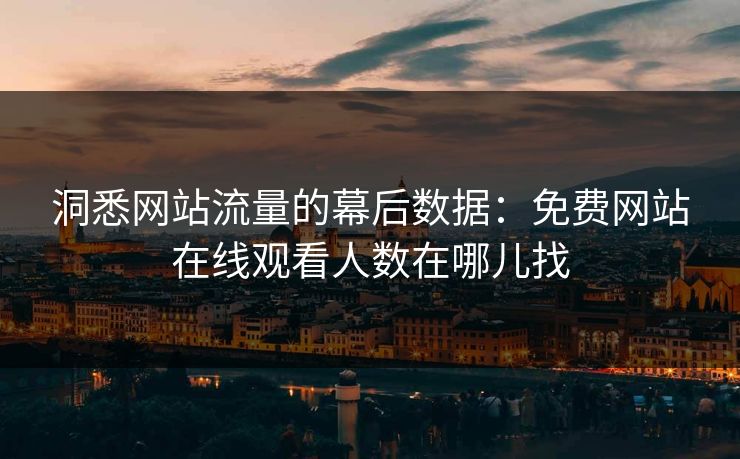 洞悉网站流量的幕后数据:免费网站在线观看人数在哪儿找 洞悉网站流量的幕后数据:免费网站在线观看人数在哪儿找