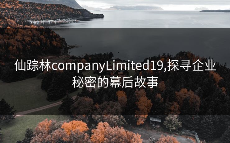 仙踪林companyLimited19,探寻企业秘密的幕后故事