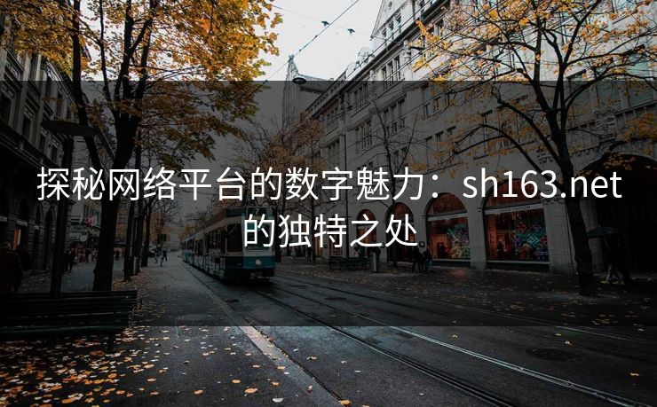 探秘网络平台的数字魅力:sh163.net的独特之处 探秘网络平台的数字魅力:sh163.net的独特之处
