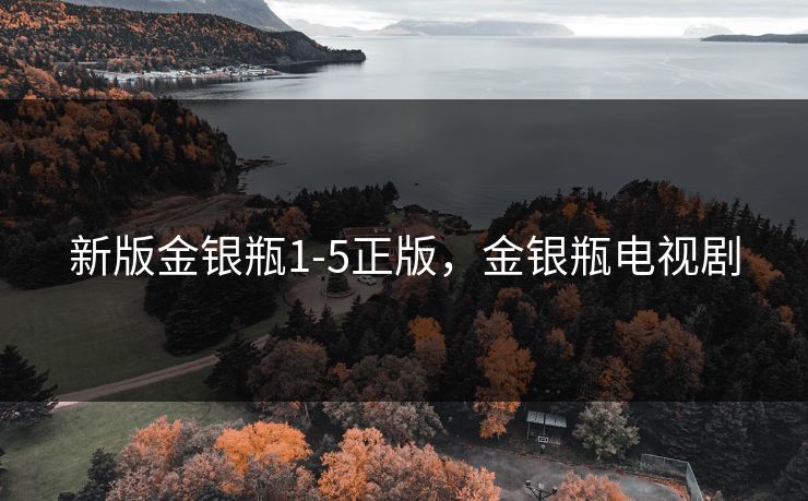 新版金银瓶1-5正版,金银瓶电视剧 新版金银瓶1-5正版,金银瓶电视剧