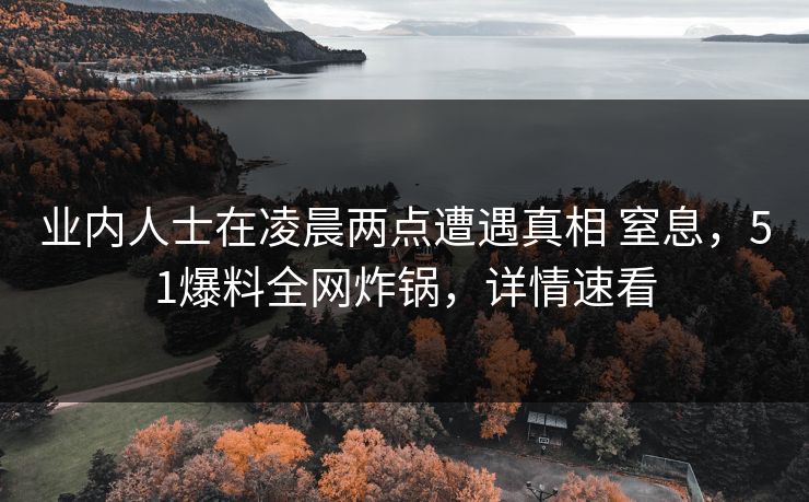 业内人士在凌晨两点遭遇真相 窒息,51爆料全网炸锅,详情速看 业内人士在凌晨两点遭遇真相 窒息,51爆料全网炸锅,详情速看
