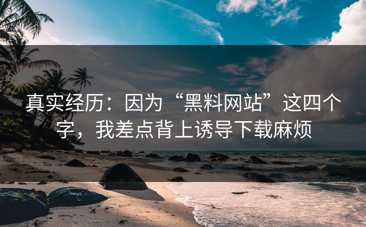 真实经历:因为“黑料网站”这四个字,我差点背上诱导下载麻烦 真实经历:因为“黑料网站”这四个字,我差点背上诱导下载麻烦