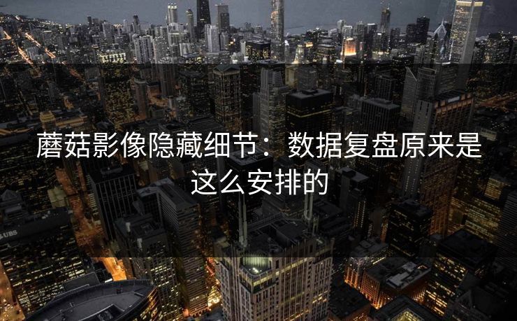 蘑菇影像隐藏细节:数据复盘原来是这么安排的 蘑菇影像隐藏细节:数据复盘原来是这么安排的
